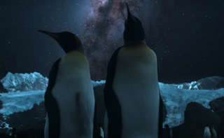 Our Universe: two emperor penguins are shown in the new series