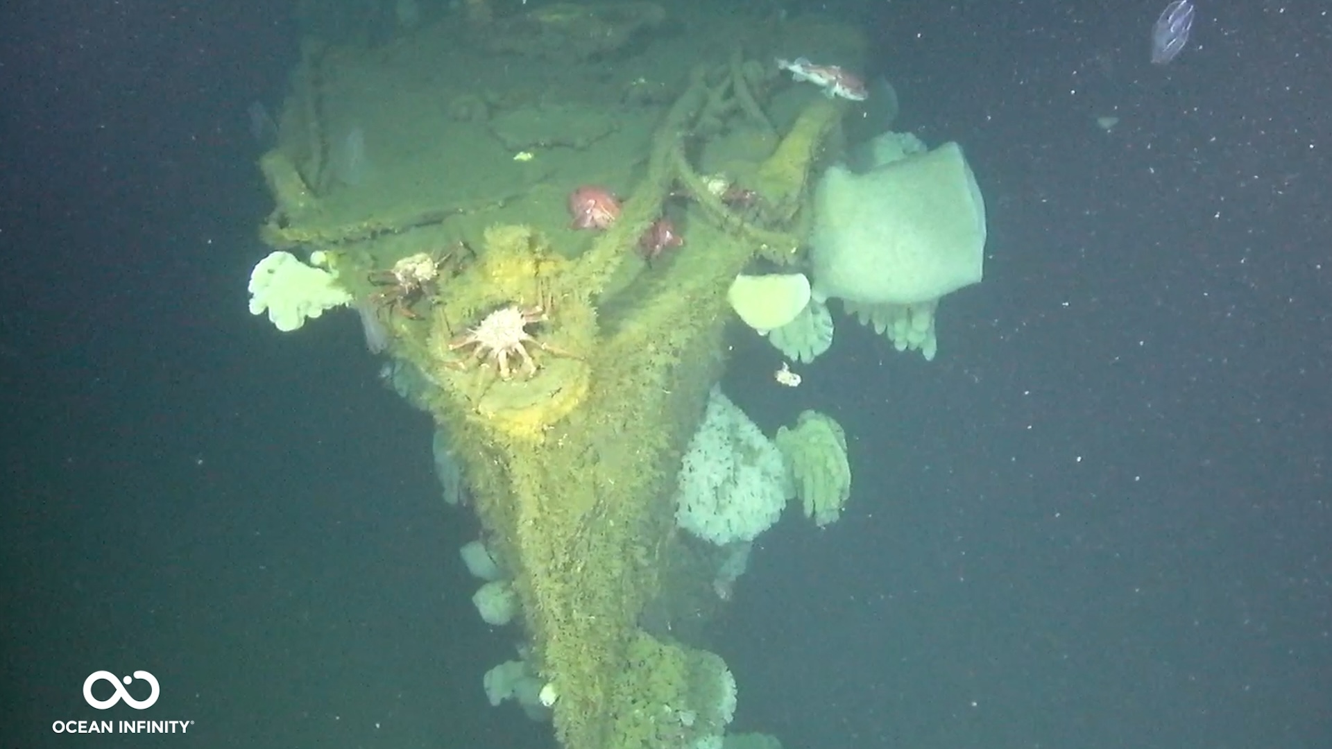 An underwater photo showing a ship covered in barnacles and sea life