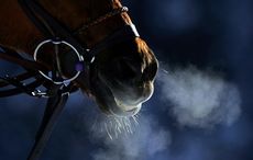 GettyImages-73136656.jpg