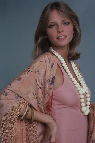 70s icons Cheryl Tiegs