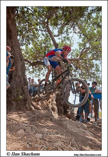 Passing through the trees with style
