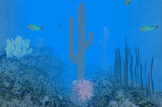 underwater cacti with fisheries