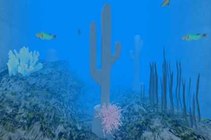 underwater cacti with fisheries