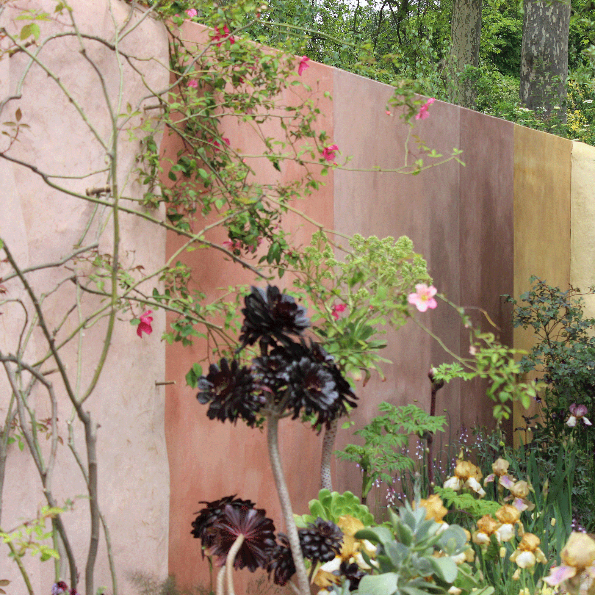 Dinding terakota ombre