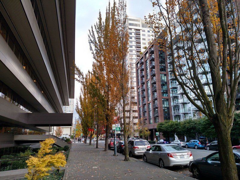 Droid Turbo camera sample