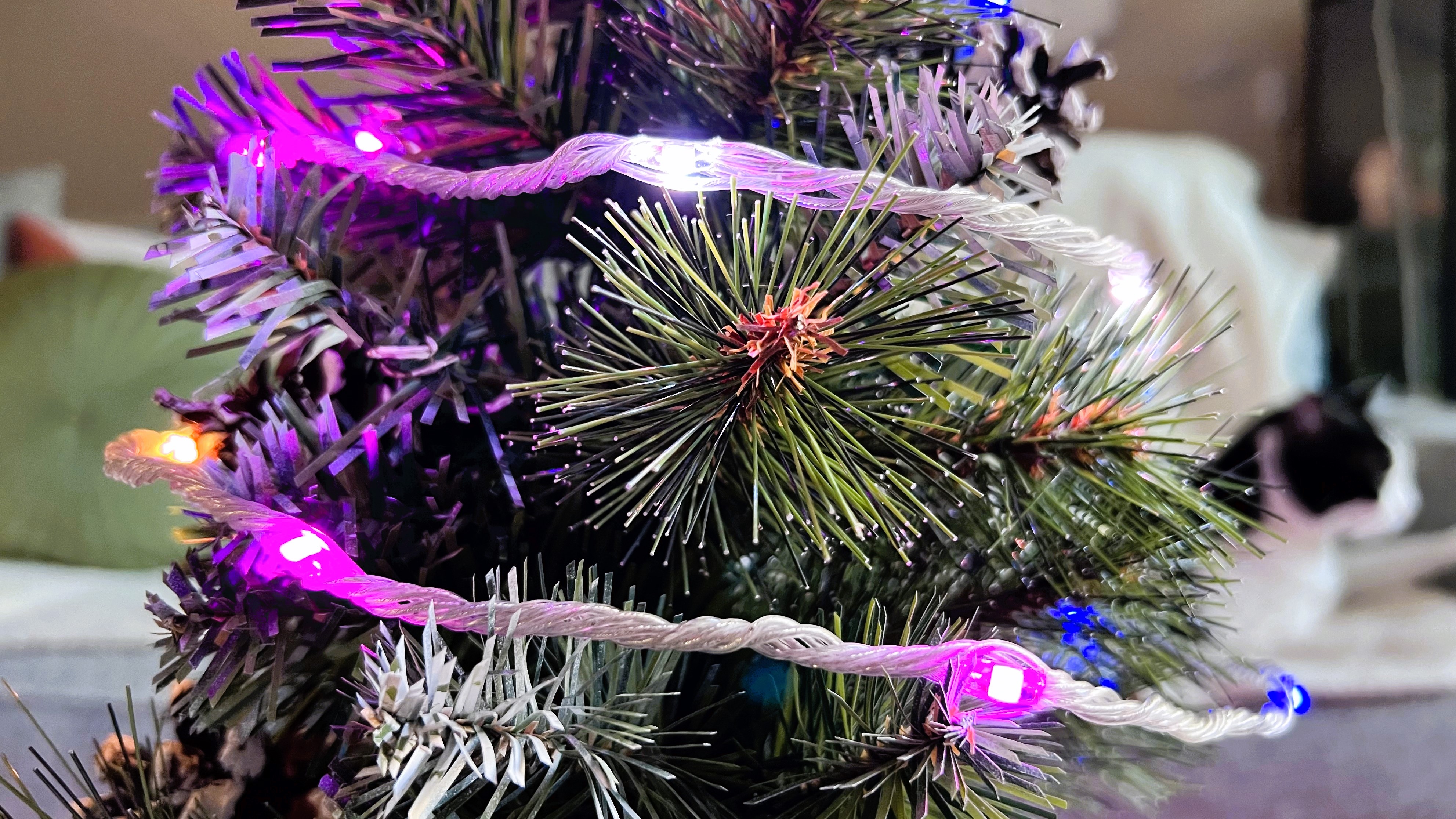Govee Christmas String Lights on a small tree during testing