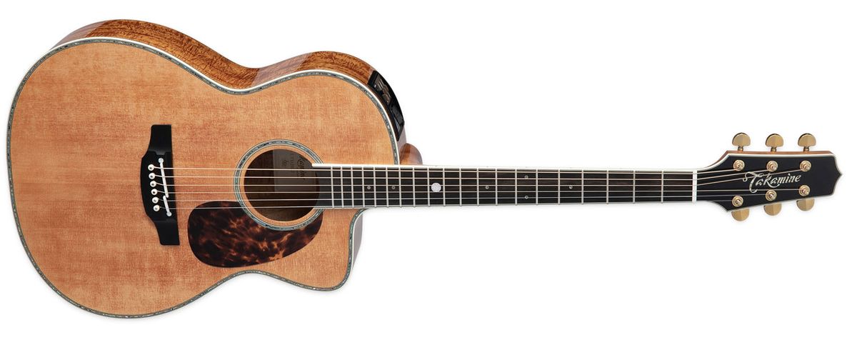 Takamine LTD2022