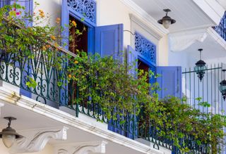 Panama City building with white ceilings, bright blue shutters, and flower bushes on the balcony railings