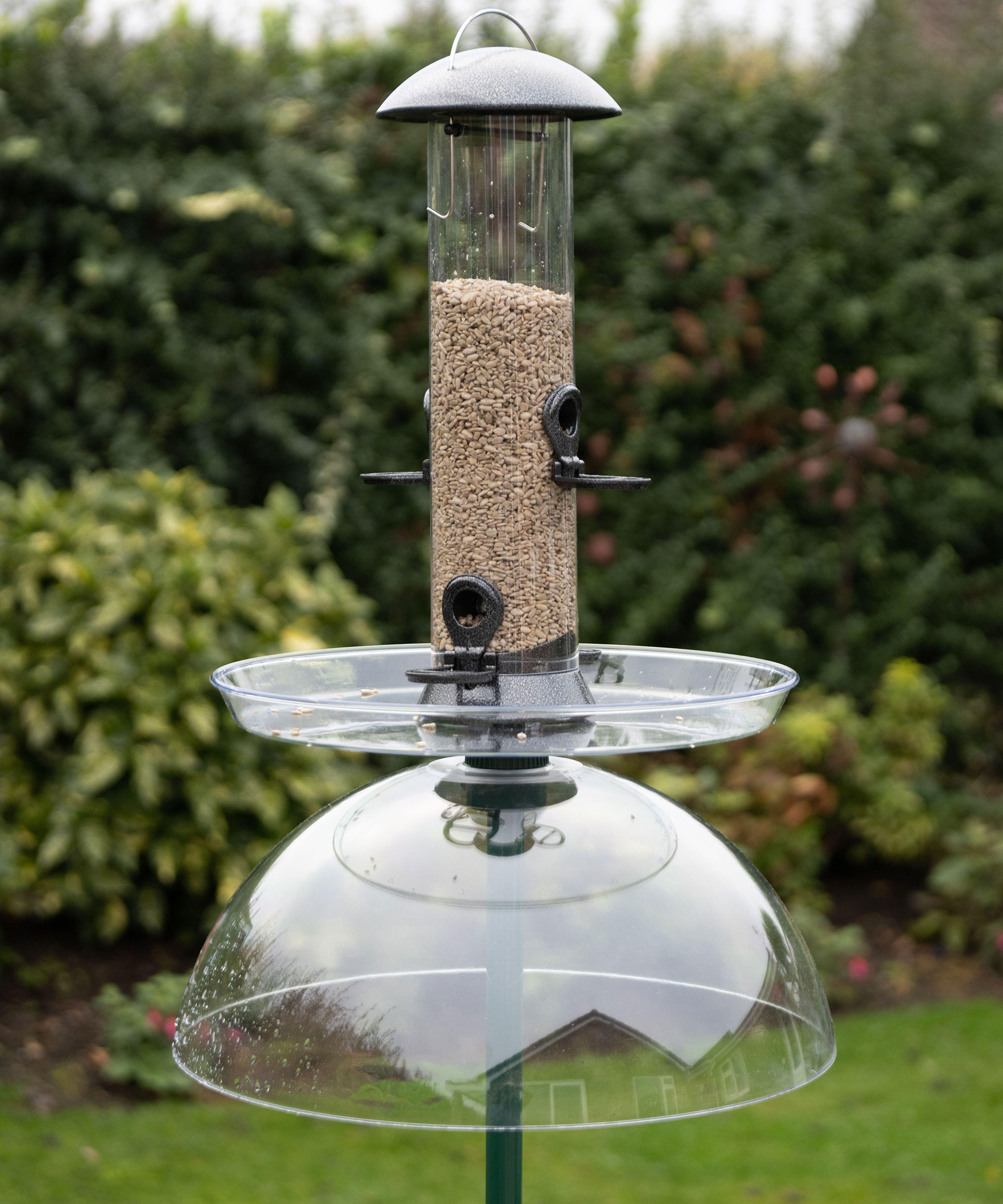 Squirrel proof bird feeder with squirrel baffle and seed tray