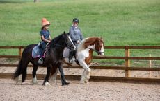 WHW_Charlie_Erin_Rehomers_070818-3.jpg
