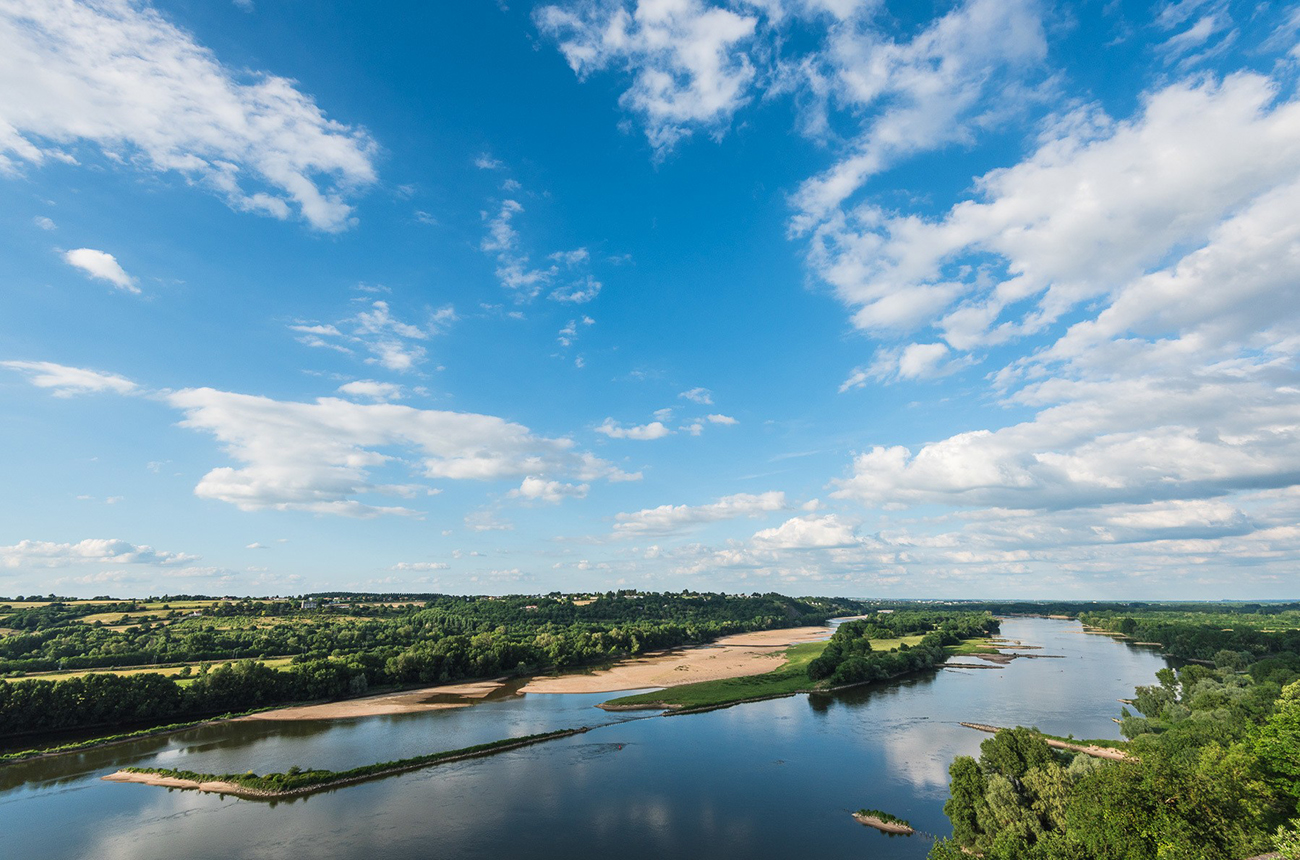 Muscadet Crus Communaux wines