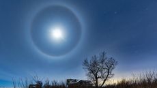 Clear night sky with a moon surrounded by a ring or halo with a house, tree and bracken in the foreground