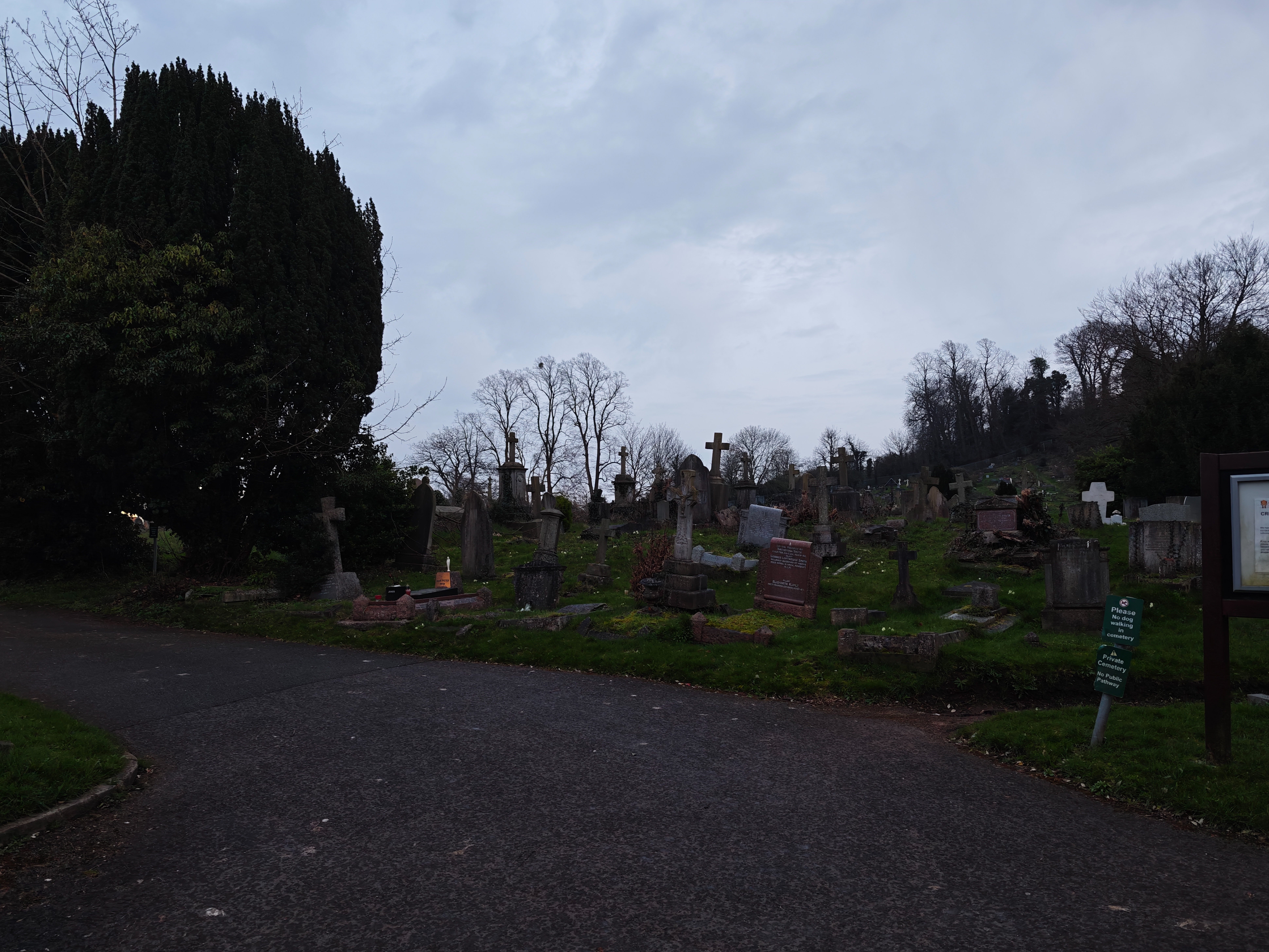 A photo taken for a Leica Leitzphone versus iPhone 17 Pro camera comparison faceoff