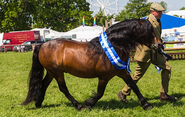 Devon County Show 2018