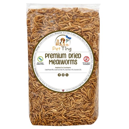 Premium Dried Mealworms, 5l Bag