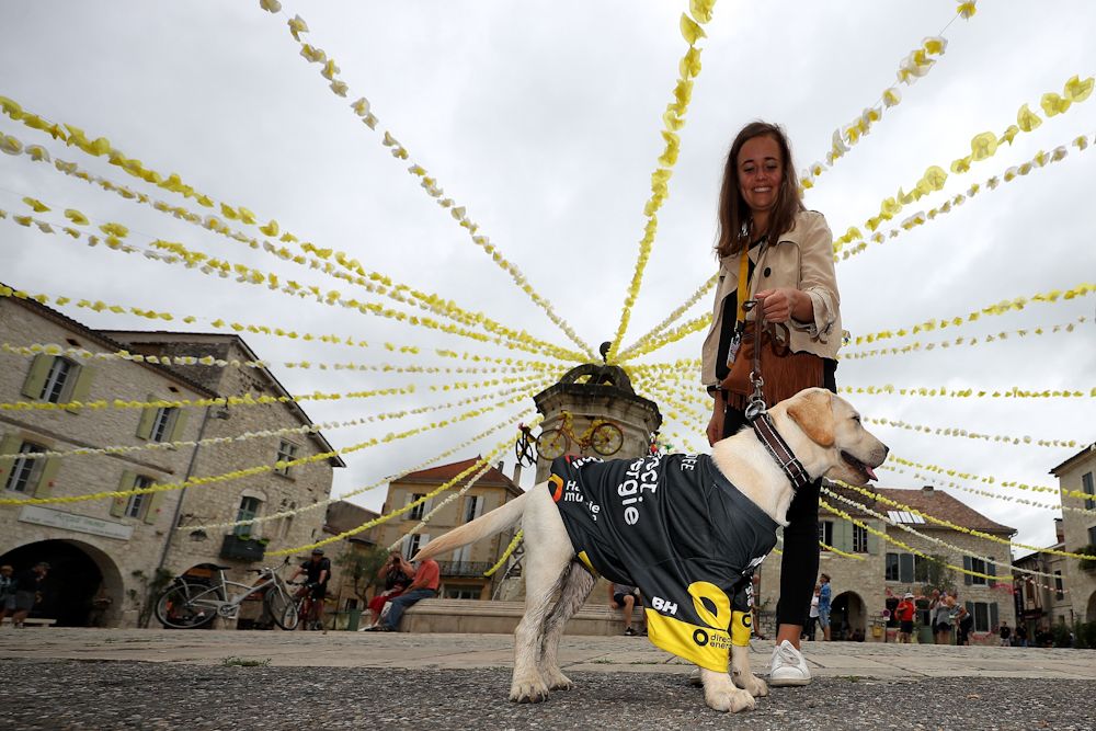 The local canines don't want to be left out when the Tour comes to town