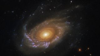 a spiral galaxy shines in the darkness of deep space.