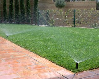 sprinklers irrigating a lawn in a backyard