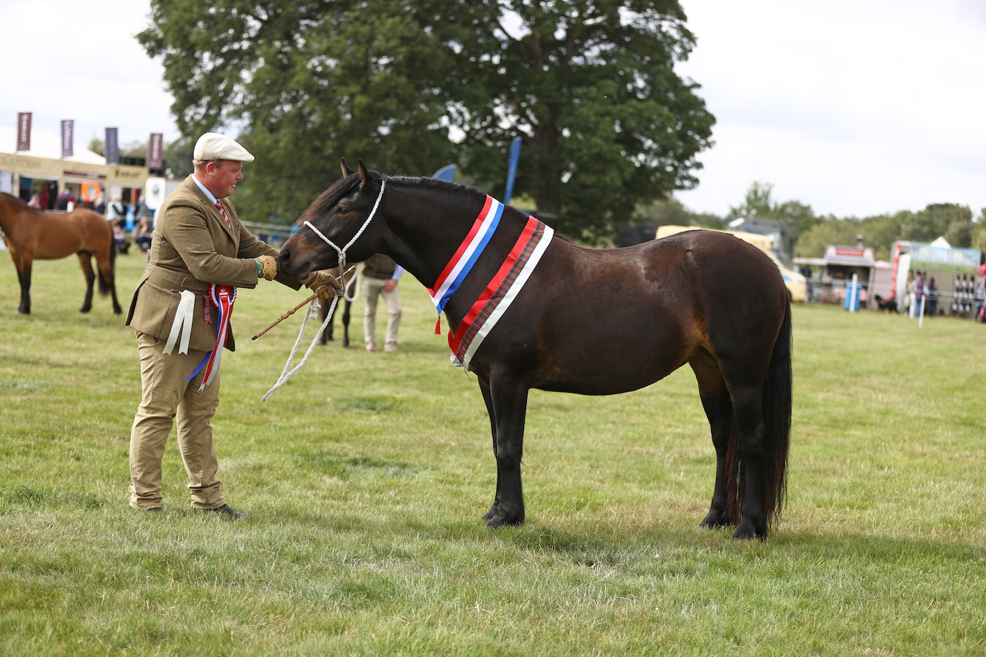 Dewley Essence and Chris Grant head the Highland pony championship at Scone Palace
