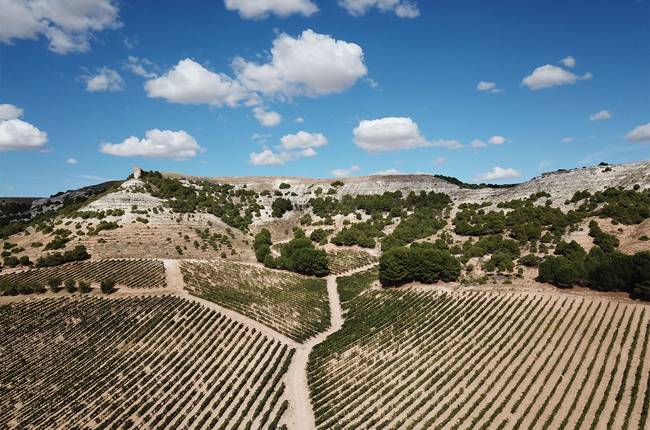Ribera del Duero