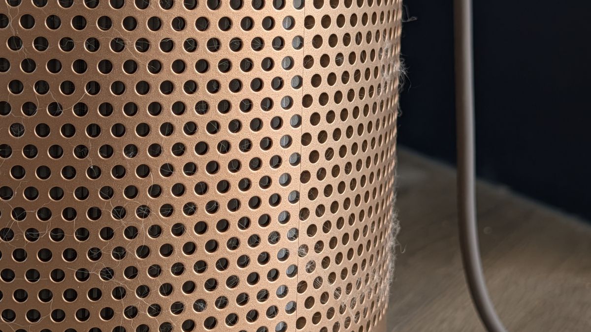 A closeup of the Dyson Find+Follow Purifier Cool's filter, with small amounts of pet fur visible on its outside.