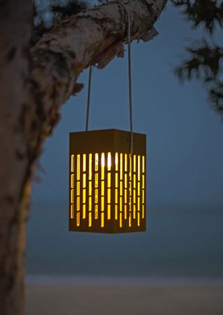 outdoor tree lighting ideas: lantern