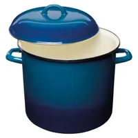 Aldi Crofton 12 Quart Porcelain Enamel Stock Pot