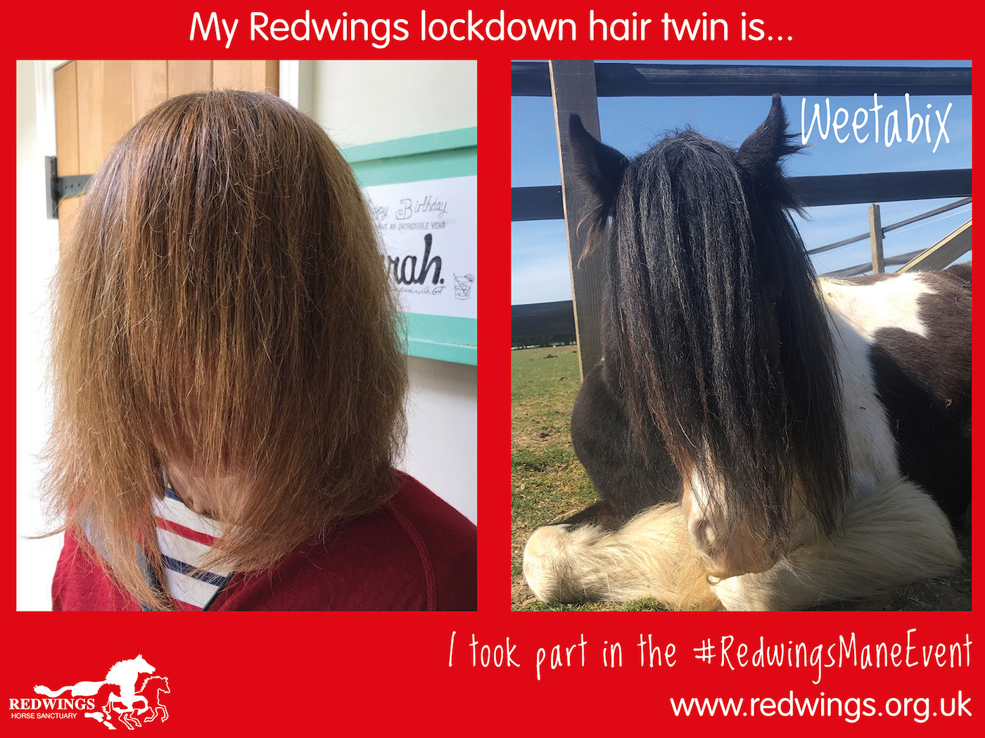 Redwings Mane Event 1[1] copy