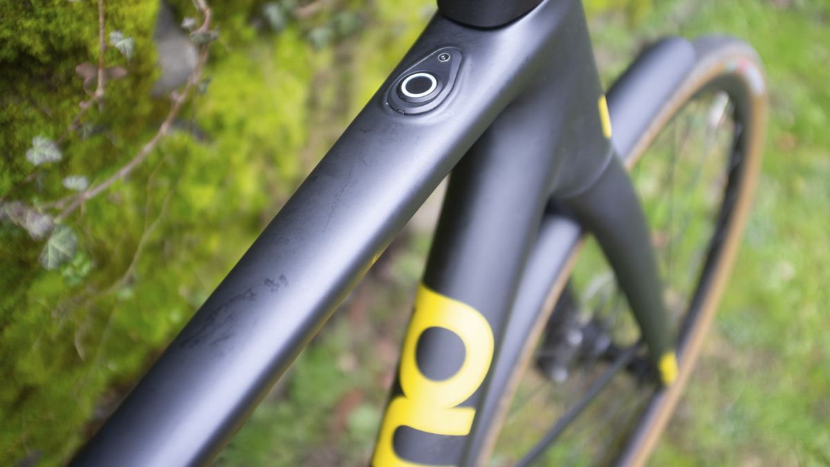 LeMond Prolog review