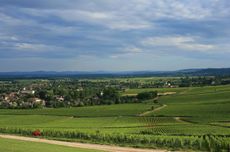 Givry vineyards, Cellier Aux Moines
