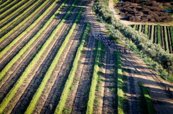 Cape Winelands, site of the MTN Gravel Travel