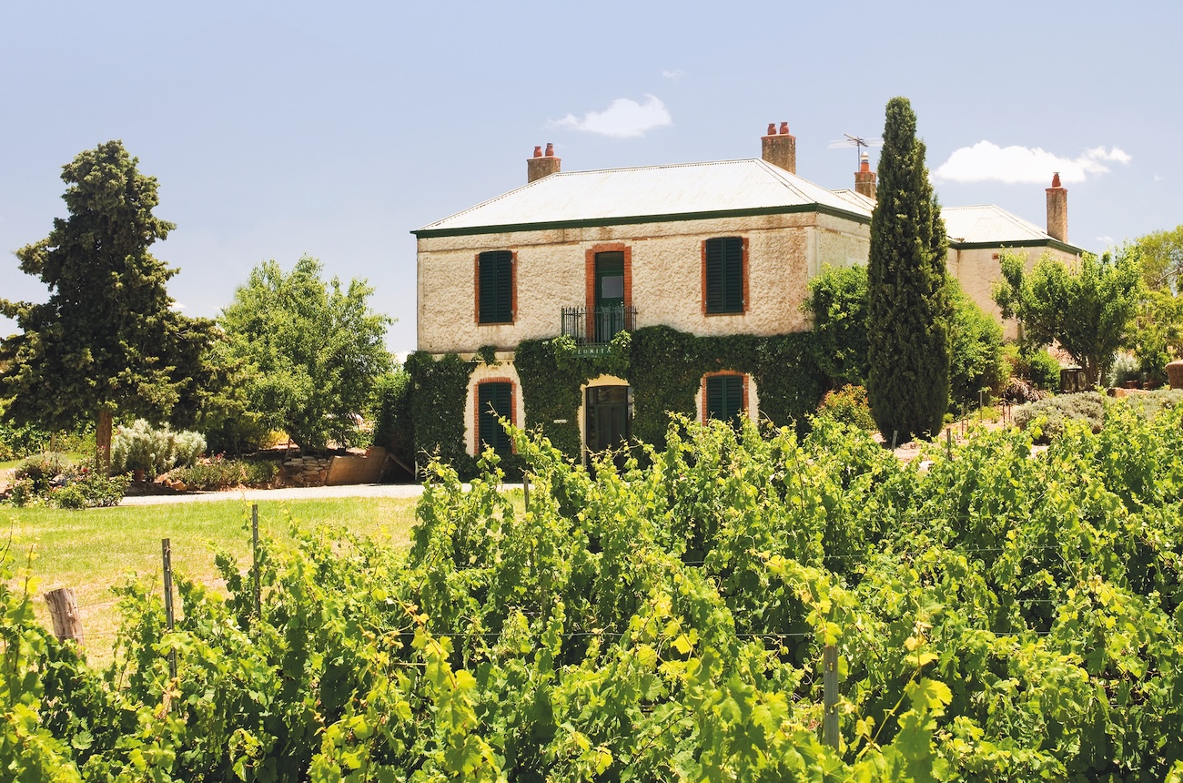 Florita Vineyard