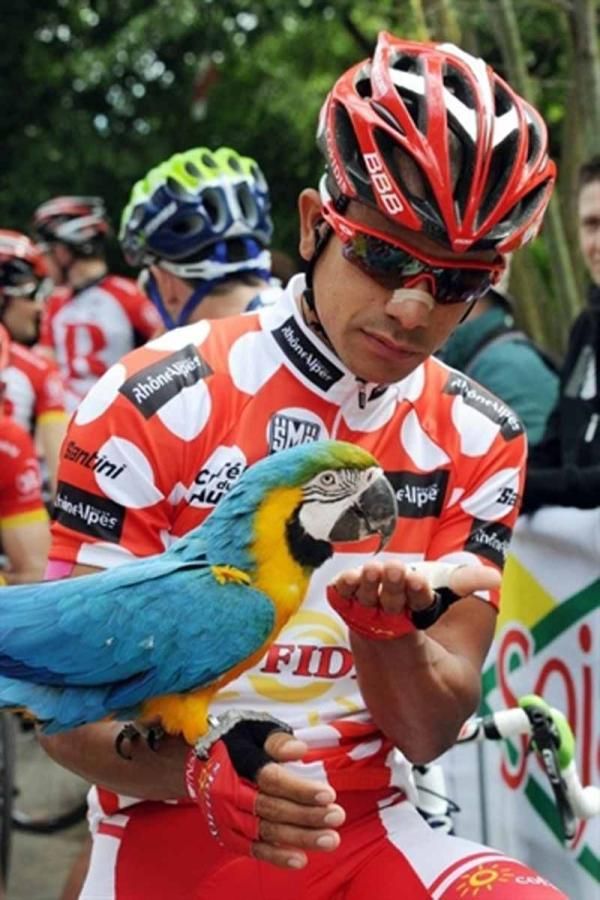 King of the mountains Leonard Duque (Cofidis) is nearly as colourful as the parrot