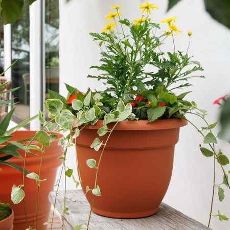 Bloem Ariana 12" Self-Watering Plastic Planter - Rolled Rim Indoor/outdoor Garden Pot, Terra Cotta