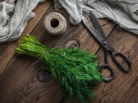 Dill On Table With Drying Tools