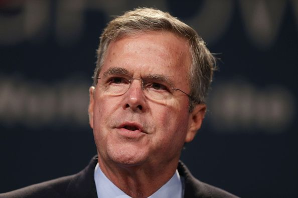 jeb bush