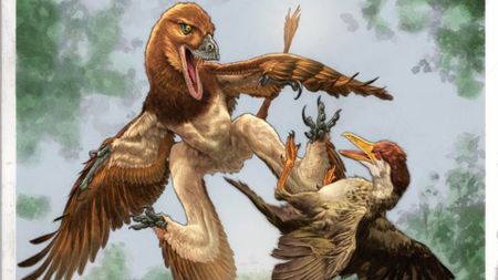 An illustration of a bird-like dinosaur attacking a bird