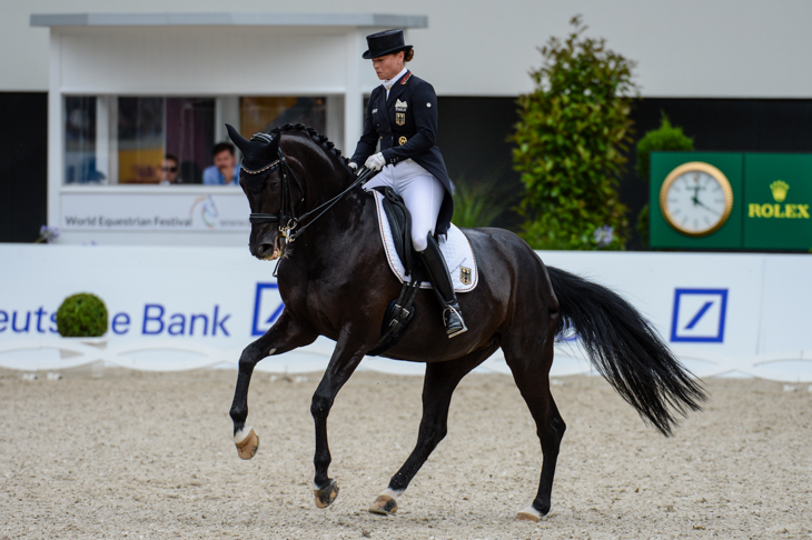 20131218-Weihegold-OLD_CHIO-Aachen_PN17_68632.jpg