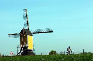 Typical Dutch countryside.