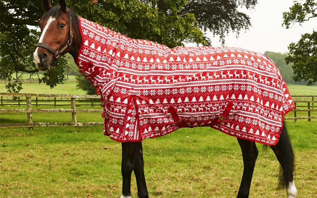 402-0356-&amp;ndash;-Derby-House-Christmas-Rug