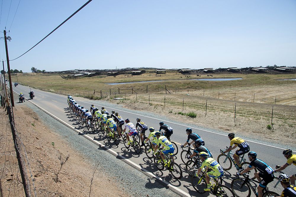 The peloton during stage 2