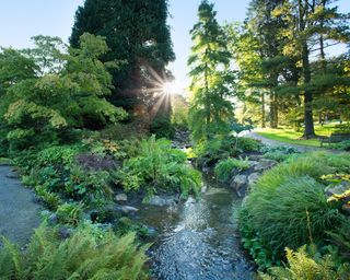 The Streamside garden at RHS Harlow Carr in Yorkshire, UK