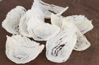 Edible birds' nests like these are believed to have high nutritional and medicinal value by traditional Chinese medicine.
