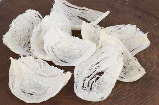 Edible birds&#039; nests like these are believed to have high nutritional and medicinal value by traditional Chinese medicine.