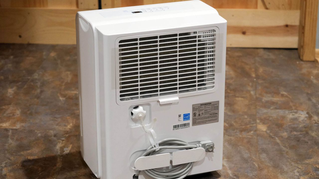 Homelabs 22 Pint Dehumidifier