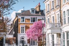 Blossoms Adorn London's Streets in Spring as UK house prices failed to register a bounce