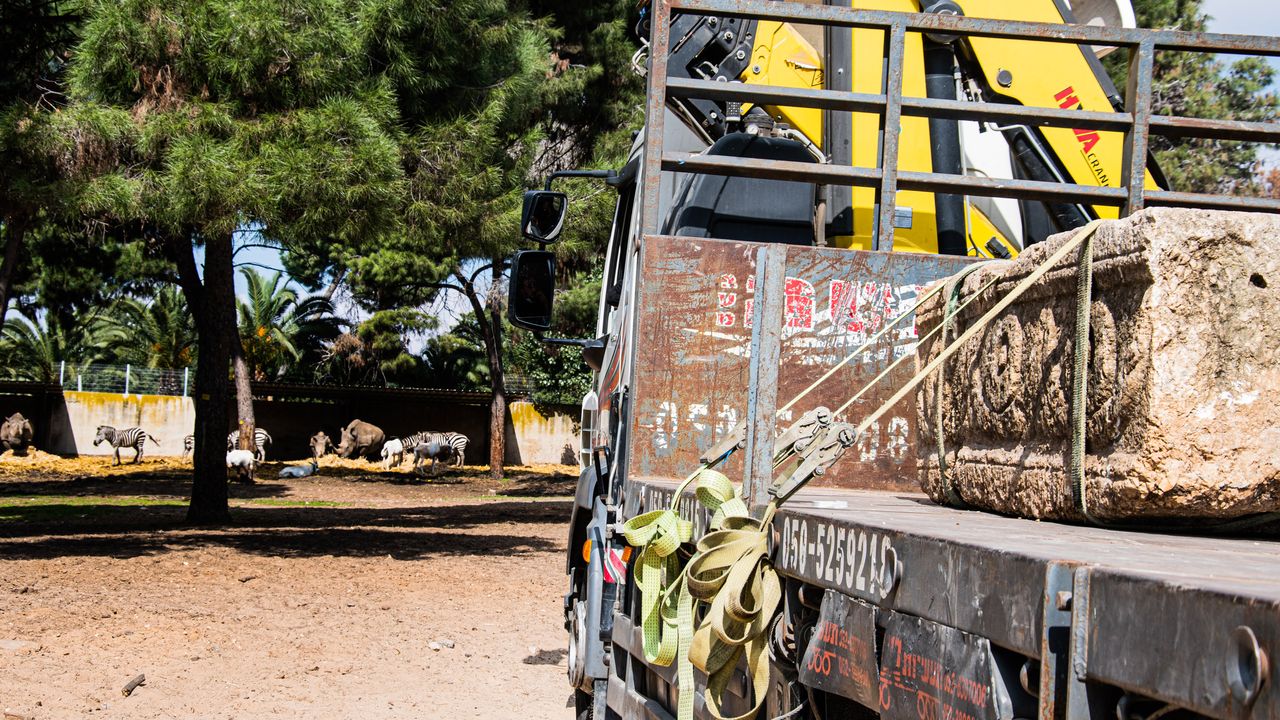 The ancient coffins have been surrounded by enclosures for animals at the wildlife park for many years, but they have now been relocated to a repository for national treasures.