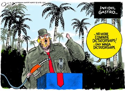 Political Cartoon
