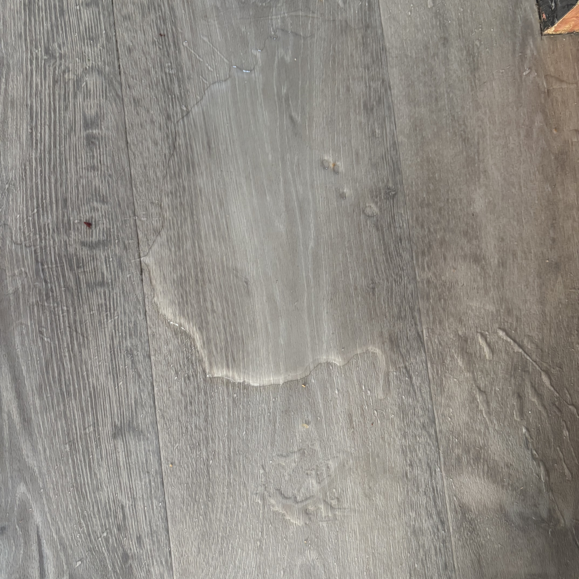 water puddle on laminate floor