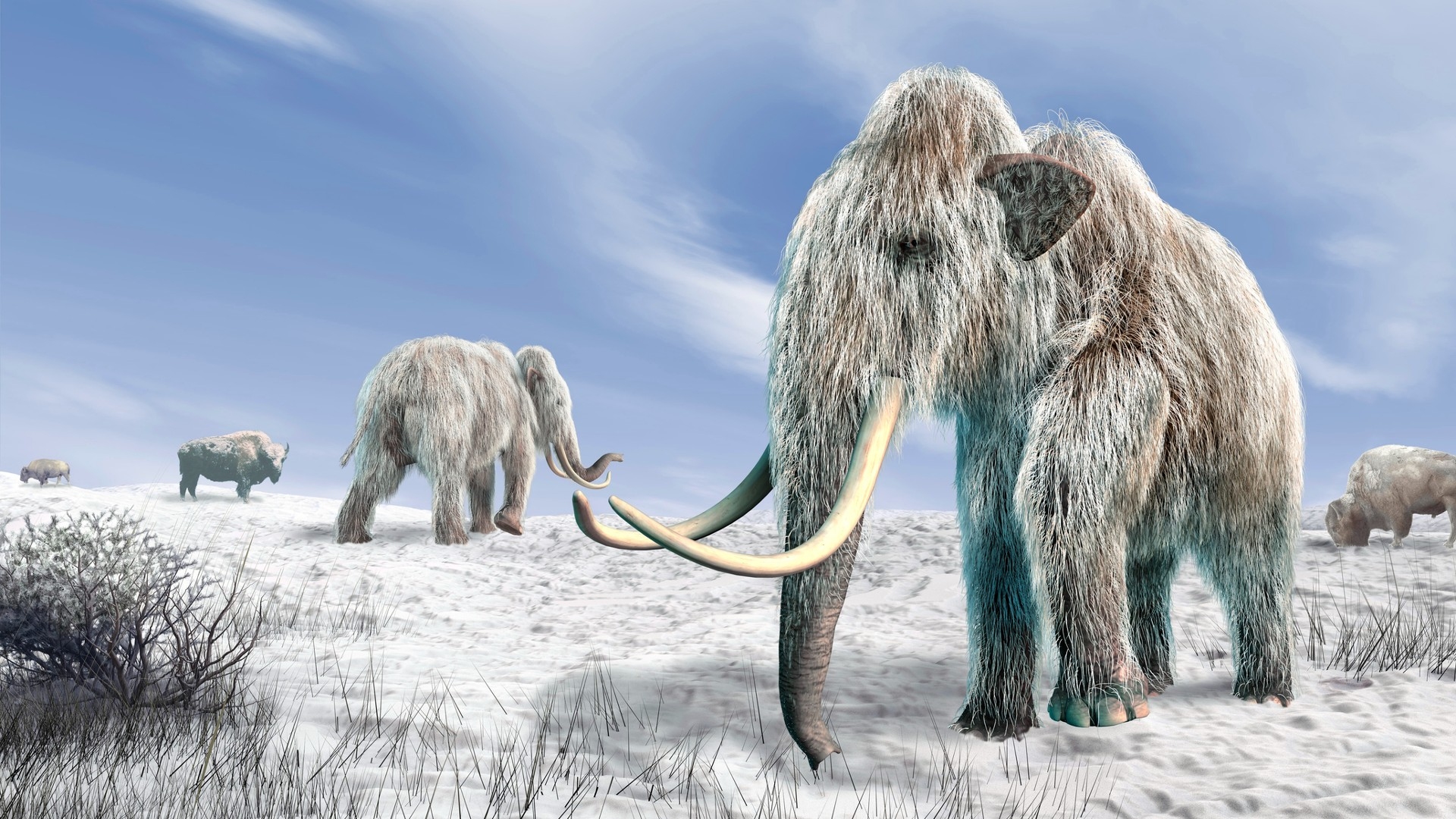 Computer artwork of woolly mammoths (Mammuthus primigenius) and bison (Bison bison) in a snow-covered field.